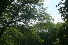 De omgeving van Erve Blokhorst