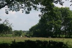 De omgeving van Erve Blokhorst