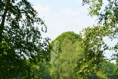 De omgeving van Erve Blokhorst