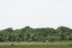De omgeving van Erve Blokhorst